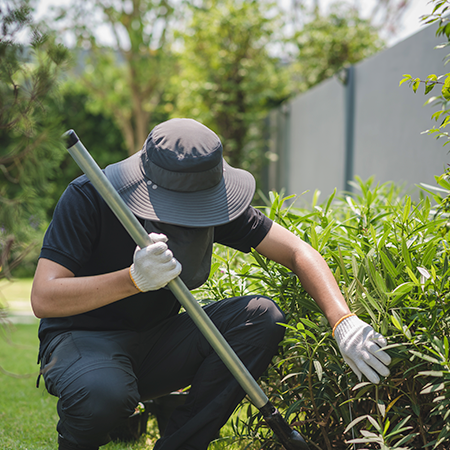 service single images