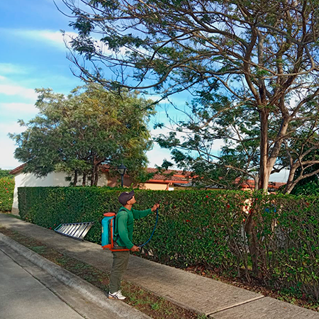 service single images