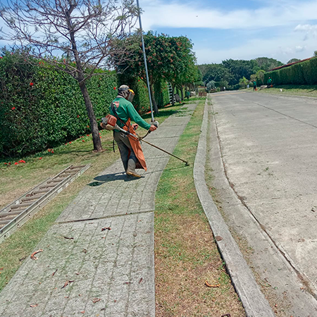 service single images