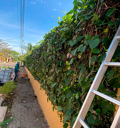 service single images