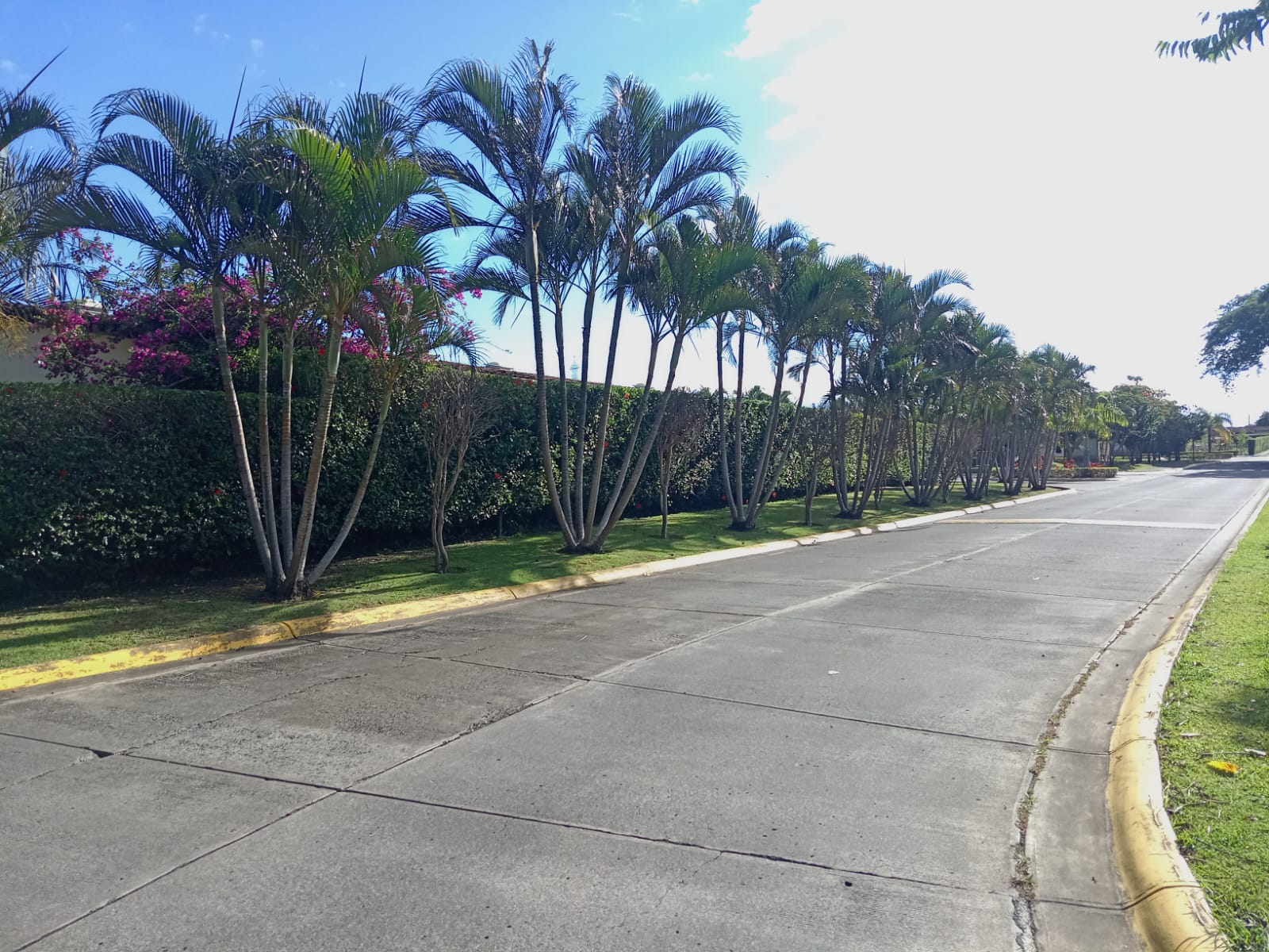 Award Winning Landscaper